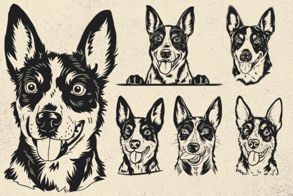 Australian Cattle Dog Svg, Dog Svg Files