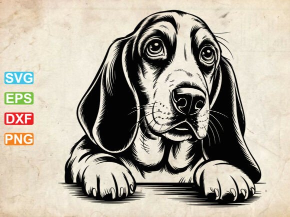 Basset Hound Dog SVG: A Designer's Honest Review for Embroidery