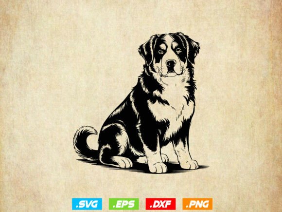 Bernese Mountain Dog SVG: Embroidery Review for Real Projects