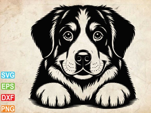 Bernese Mountain Dog SVG: Hands-On Review for Embroidery