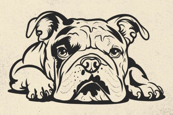 English Bulldog Svg Review: Real Embroidery Use