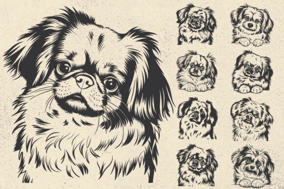Pekingese Svg Dog for Cricut