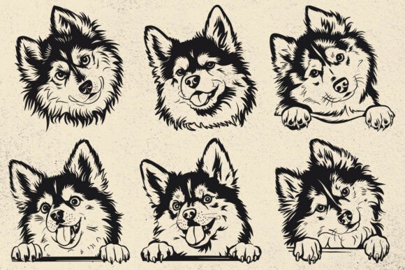 Pomsky Svg, Dog SVG File for Cricut