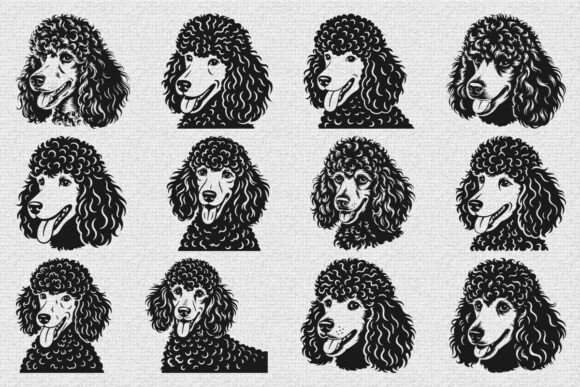 Poodle Dog SVG Bundle Review for Embroidery