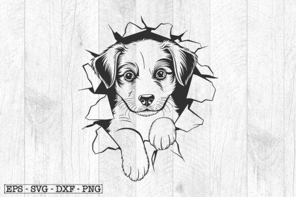 Puppy on the Wall SVG – A Real-Use Design Review
