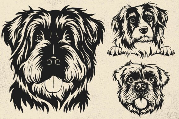 Toller Dog Svg Clipart Portrait Head SVG