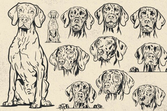 Vizsla Svg, Dog Svg Files for Cricut
